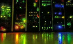Colocation vs Cloud: What’s best for your business?
